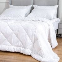 Microfiber/Bamboo Blend, Hypoallergenic & Antibacterial Quilt - Queen thumbnail