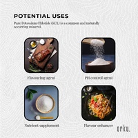 2Kg Potassium Chloride Powder - Pure E508 Food Grade Salt Substitute Supplement thumbnail