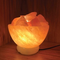 12V 12W Fire Bowl Himalayan Pink Salt Lamp Carved Rock Crystal Light Bulb On/Off thumbnail