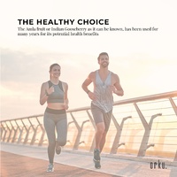 400g Organic Amla Powder Indian Gooseberry Emblica Officinalis Fruit Supplement thumbnail