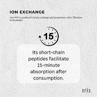 400g Native Unflavoured Whey Protein Isolate Powder - Shake WPI Supplement thumbnail