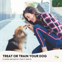 1.5Kg Dog Treat Chicken Breast Jerky Bucket - Dehydrated Australian Healthy Puppy Chew thumbnail