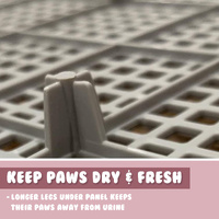 Dog Pet Potty Tray Training Toilet Raised Walls T1 PINK thumbnail