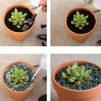 10x 5cm Flower Pot Pots Clay Ceramic Plant Drain Hole Succulent Cactus Nursery Planter thumbnail