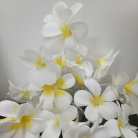 1 Set of 20 LED White Frangipani Flower Battery String Lights Christmas Gift Home Wedding Beach Party Decoration Outdoor Table Centrepiece thumbnail