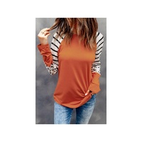 Azura Exchange Animal Print Long Sleeve Top with Striped Colorblock - L thumbnail