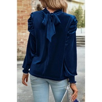 Sky Blue Fiery Mock Neck Puff Sleeve Velvet Blouse - L thumbnail