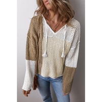 Brown Colorblock Hollow-out Front Tie V Neck Lightweight Sweater - L thumbnail