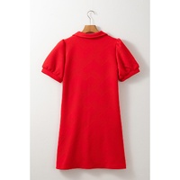 Fiery Red Textured Collared V Neck Puff Short Sleeve Shift Mini Dress - M thumbnail