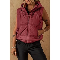 Clay Zip-up Side Pockets Hooded Puffer Vest - L thumbnail