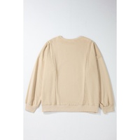 Apricot Loose Patchwork Crewneck Plus Size Sweatshirt - 4X thumbnail