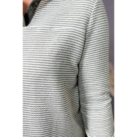 Green Striped Contrasting Trim Plus Size Henley Pullover - 2X thumbnail