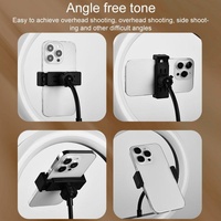 Adjustable 10 Led Fill Light Tripod with Phone Clamp thumbnail