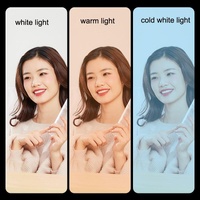 Portable Beauty Live Fill Light for Mobile Phones - Foldable Charging Model thumbnail
