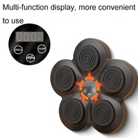 Bluetooth Music Boxing Machine With Wall Mount And Adult Gloves - With Adult Gloves thumbnail