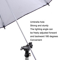 Lightweight D-Shaped Flash Mount For Top Lighting thumbnail