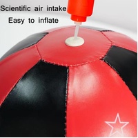 Desktop Boxing Speed Ball With Reaction Target - Red / Black thumbnail