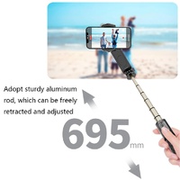 Handheld Stabilizer with Removable Fill Light and App - Black thumbnail