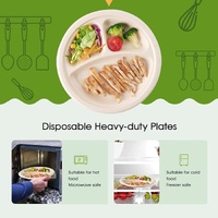 600pcs Disposable Sugarcane Bagasse 3-Compartment Paper Plates Eco 23cm (9") Bulk thumbnail