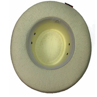 DENTS Paper Straw Hat Wide Brim Sun Beach Gold Cap Summer Natural Protection - Small/Medium thumbnail