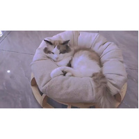 Timber Gyro Cat Nest Bed thumbnail