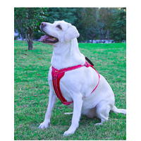 Reflective Dog Harness with Leash, No-Pull Vest Harness for Dogs, Adjustable Dog Vest with Handle, Walking Training Pet Harness L size thumbnail