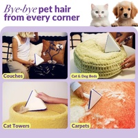 Eco-Friendly Triangle Hair Remover Tool for Pet Hair and Dust – Durable and Reusable thumbnail
