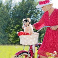 Size L Black Pet Safety Helmet - Stylish Protective Headgear for Dogs thumbnail