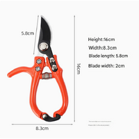 2 pcs Effortless Garden Pruning Shears - Sharp, Durable Branch Trimmers thumbnail