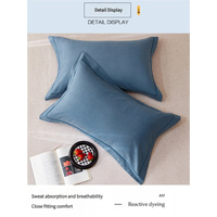 Blue Pure Cotton Flannel Pillowcase Set - Soft, Thickened, Solid Color (Pair, 48x74cm) thumbnail