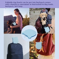 Pink Portable Collapsible Pet Bowl Set - Food-Grade Silicone Double Bowl for Dogs & Cats, Anti-Slip & Easy to Clean thumbnail