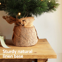 Jingle Jollys Tabletop Christmas Tree 60CM 8 Light Modes Timer Function thumbnail