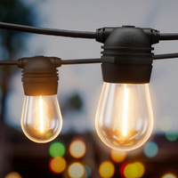 17m Solar Festoon Lights Outdoor LED String Light Christmas Party Decor 2pcs thumbnail