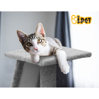 i.Pet Cat Tree 82cm Scratching Post Tower Scratcher Condo Trees Climb House thumbnail