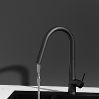 Kitchen Mixer Tap Pull Out Round 2 Mode Sink Basin Faucet Swivel WELS Black thumbnail