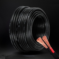 Giantz 5MM 30M Twin Core Wire Electrical Cable Extension Car 450V 2 Sheath thumbnail
