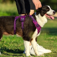 Whinhyepet Harness Black XS thumbnail