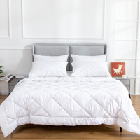 Microfiber/Bamboo Blend, Hypoallergenic & Antibacterial Quilt - Queen thumbnail