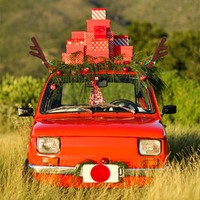 Reindeer Car Antlers and Nose Decoration Set Xmas Jingle Bells 20 sets thumbnail