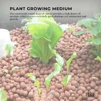 5L Hydro Clay Balls - Natural Premium Hydroponic Expanded Plant Growing Medium thumbnail