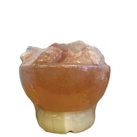 12V 12W Fire Bowl Himalayan Pink Salt Lamp Carved Rock Crystal Light Bulb On/Off thumbnail