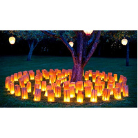 20 Pack White Happy Birthday Luminary Paper Candle Tea Light Lantern Bags Garden Anniversary Birthday Night Decorations Evening Party thumbnail