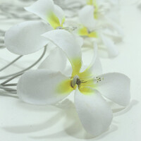 1 Set of 20 LED White Frangipani Flower Battery String Lights Christmas Gift Home Wedding Beach Party Decoration Outdoor Table Centrepiece thumbnail