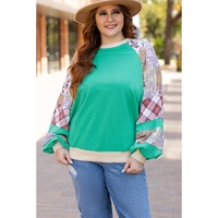 Sky Blue Plus Size Plaid Floral Patchwork Raglan Sleeve Sweatshirt - 4X thumbnail
