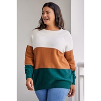 Brown Plus Size Ribbed Trim Color Block Sweater - 1X thumbnail