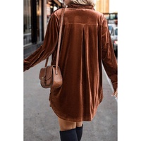 Coffee Plus Size V Neck Collared Pleated Back Rounded Hem Velvet Dress - 4X thumbnail