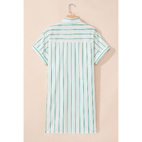 Green Stripe Plus Size St Patricks Day Short Sleeve Buttoned Shirt Dress - 4X thumbnail