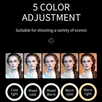 Full Screen Beauty Light - Single Light & Stand for S20 Selfies thumbnail