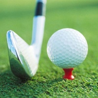 60-piece Golf Ribbon Needle Plastic Ball Tee - 37mm Size thumbnail