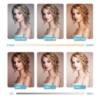 Portable 64-led Video Conference Laptop Light - Clip + Tripod Set thumbnail